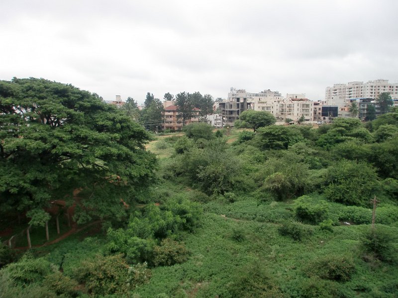 India Trip - July 2010 007.jpg